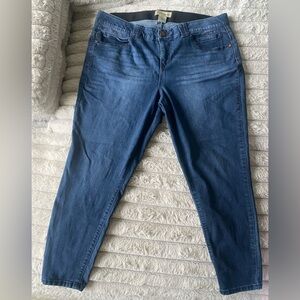 “Democracy” Dark Blue Jeans- Women’s Size 18W